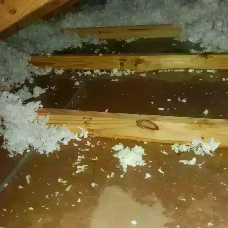 Attic Water Damage in Portola Hills, CA